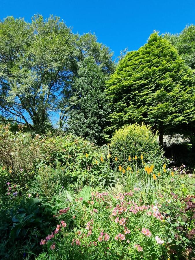 Yellowwood Cottage Himeville Exterior foto